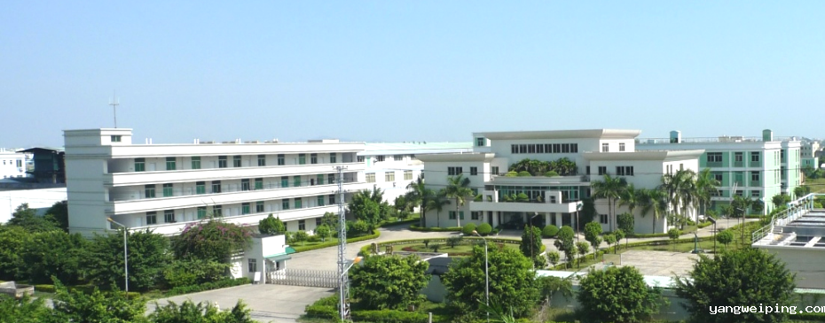 广东东田转印新材料有限公司：持续创新，引领行业发展